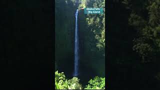 Discover the Majestic Beauty of Akaka Falls on Hawaiis Big Island [upl. by Pacien]