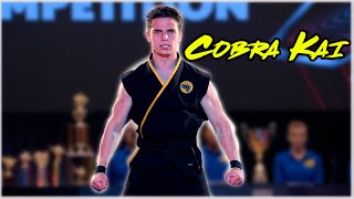 All Robby Fight Scenes  Cobra Kai [upl. by Iggie]