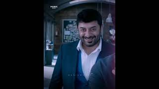 dhruva manishi musugulo mrugamni nene full screen whatsapp status [upl. by Freeborn812]