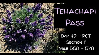 Day 49  PCT  Tehachapi Pass [upl. by Taran]