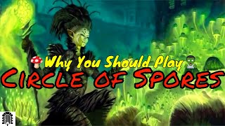 Why You Should Play Circle of Spores Druid [upl. by Dian364]