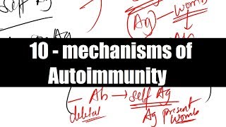 Mechanisms of Autoimmunity  Immunology  Pathology  Microbiology  Medicine   NEET PG [upl. by Rovelli358]