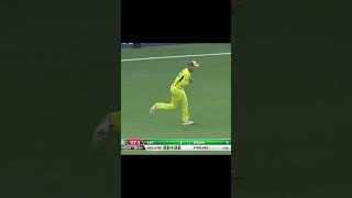 Lets Recap  Pakistan All Fall of Wickets vs Australia PAKvAUS SportsCentral Shorts PCB M7C2K [upl. by Redneval]