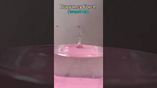 Buoyancy Force  surface tension [upl. by Adnana99]