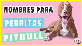 ✅ Nombres Para Perritas PITBULL mas de 50 Nombres Increibles [upl. by Aba]