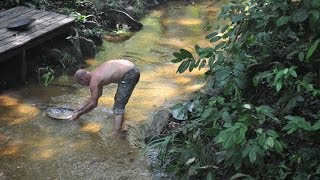 Guyane la réserve naturelle des marais de Kaw Roura [upl. by Riatsala132]