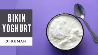 Cara Membuat Yogurt Sendiri Di Rumah DIJAMIN BERHASIL [upl. by Zigrang34]