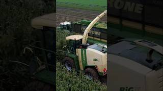 Krone BiG X 700 krone corn harvest tractor farming agriculture maize shorts drone new dji [upl. by Selim]