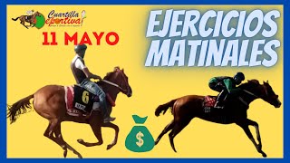 ✅EJERCICIOS🐴 EL EXTERMINADOR y PUCKETT en pista el sábado 11 MAYO 2024 🏇en el V Centenario [upl. by Marigold]