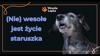 NIE wesołe jest życie staruszka [upl. by Marks]