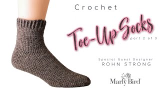 My First Toe Up Crochet Socks with Rohn Strong Part 2 of 3  Sockalong [upl. by Brandwein337]