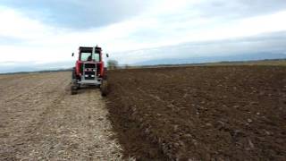 MF 1135 plowing [upl. by Venetia782]