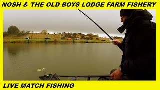 NOSH amp THE OLD BOYS LIVE MATCH FISHING AT LODGE FARM FISHERIES [upl. by Edy]