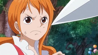 Nami protects Luffy  Luffy saves Nami [upl. by Eux]