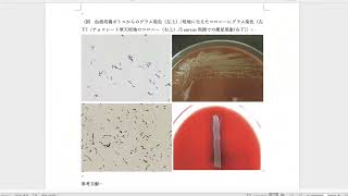 【まとめ】Granulicatella adiacens [upl. by Kruse]