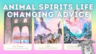 Unveiling LifeChanging Advice from the Animal Kingdom 🐕🤩 Timeless Tarot Card Reading 🔮 [upl. by Jemine]