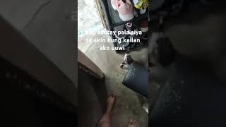 Mabuti pa pusa marunong mag antay [upl. by Ayahsal]