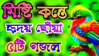 আমার মরনের কতদিন বাকি Nice Ghazal tv 🌹Amar moner kotha din Baki Gojol new gojol Bangla gojol [upl. by Etnor291]