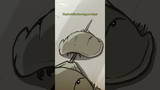 Trispine Horseshoe Crab 🦀🦂 animation original cartoon [upl. by Adirem]