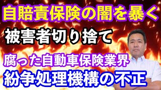 自賠責保険の闇を暴く 自賠責紛争処理機構が行っていた被害者切り捨ての真実 柳原三佳さん登場 [upl. by Ettezil903]