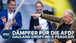 GAULAND PFEIFT WEIDEL UND CHRUPALLA ZURÜCK ExParteichef der AfD greift bei der Kanzlerfrage ein [upl. by Akaenahs]