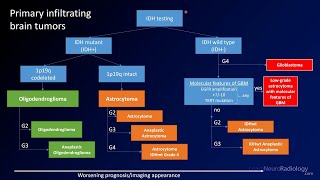 Emergency Imaging of Brain Tumors Classification [upl. by Yssep]