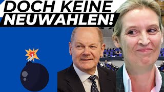 Keine Neuwahlen Warum die AfD Scholz das Vertrauen aussprechen könnte [upl. by Gare415]