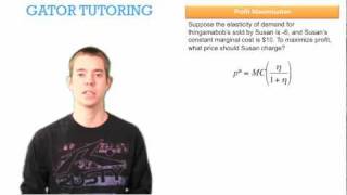 Managerial Economics ECP3703 Profit Maximization [upl. by Aroz]