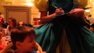 WDW Disneys Grand Floridian amp 1900 Park Fare We Meet Cinderella [upl. by Nerehs122]