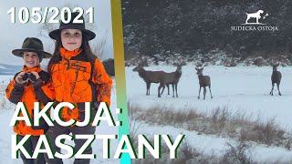 SUDECKA OSTOJA 1052021 Polowanie na jelenie Deer Hunt Hunting in Poland Wild jagen [upl. by Christalle579]