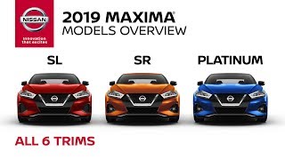 2019 Nissan Maxima Sedan Walkaround amp Review [upl. by Dewees]