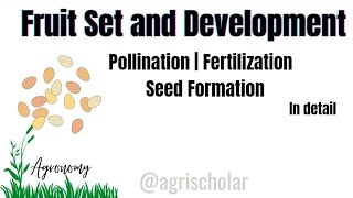 Fruit Set and Development  Pollination  Fertilization  Seed Formation  Crop Physiology  AS [upl. by Ayiram97]