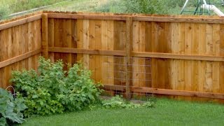 HOW TO INSTALL A CEDAR FENCE Part 1 [upl. by Ailimac]