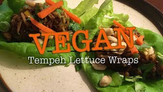 Tempeh Lettuce Wraps [upl. by Nimzzaj47]