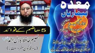 Hazam 5  Maida Ka Desi ilaj in Urdu  Hindi  Stomach Pain Relief [upl. by Oidualc]