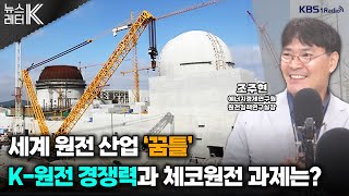 뉴스레터K 체코 원전 수주글로벌 원전 산업 동향은  조주현 에너지경제연구원 원전정책연구실장ㅣKBS 240723 방송 [upl. by Labotsirhc]