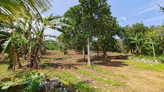 MURANG FARM LOT 2YRS INSTALLMENT NO INTEREST AT MENDEZ NEAR TAGAYTAY LIBRE TRANSFER TITLE [upl. by Edorej]