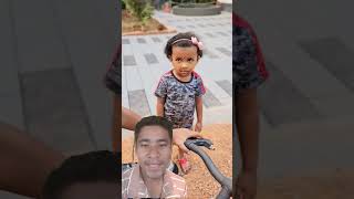 Green screen with sj majhi full video linkKrishnaAvyu TomampJerry love mother strending cutebaby [upl. by Oisor]