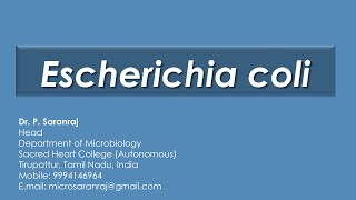 Escherichia coli [upl. by Teerprah500]