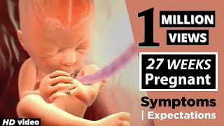 27 Weeks Pregnant Baby Position  Pregnancy Diet For Fair And Healthy Baby [upl. by Wilhelm937]