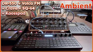 Live Ambient 100 BPM  DR550  VolcaFM 2  Crave  SQ64  Kaosspad [upl. by Maurer]