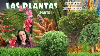 Las Plantas Parte 1  Estructura y clasificación 1º ESO [upl. by Sheley]