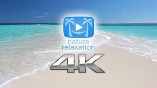 10 Minutes Nature Relaxation™ 4K Sizzler w Music UHD [upl. by Eceerahs167]