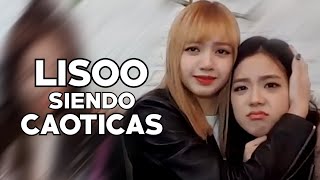 Lisa y Jisoo siendo un dúo caótico Sub español [upl. by Avirt802]