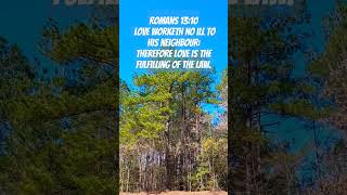 Romans 1310 KJV [upl. by Annaoy]