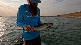 Full Feature MidSummer Walleye of Tiber Lake Lake Elwell [upl. by Hadias338]