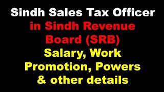 Salary Job Description Promotion of Sindh Sales Tax Officer in SRB [upl. by Veronike232]