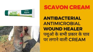 SCAVON VET CREAM  Review In Hindi  Complete Information [upl. by Riella]