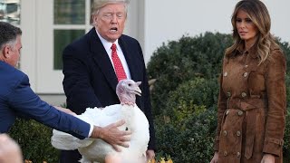 Thanksgiving Trump begnadigt die Truthähne quotBreadquot und quotButterquot [upl. by Naneek]