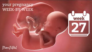 27 Weeks Pregnant  Natural Pregnancy WeekByWeek [upl. by Ogram181]